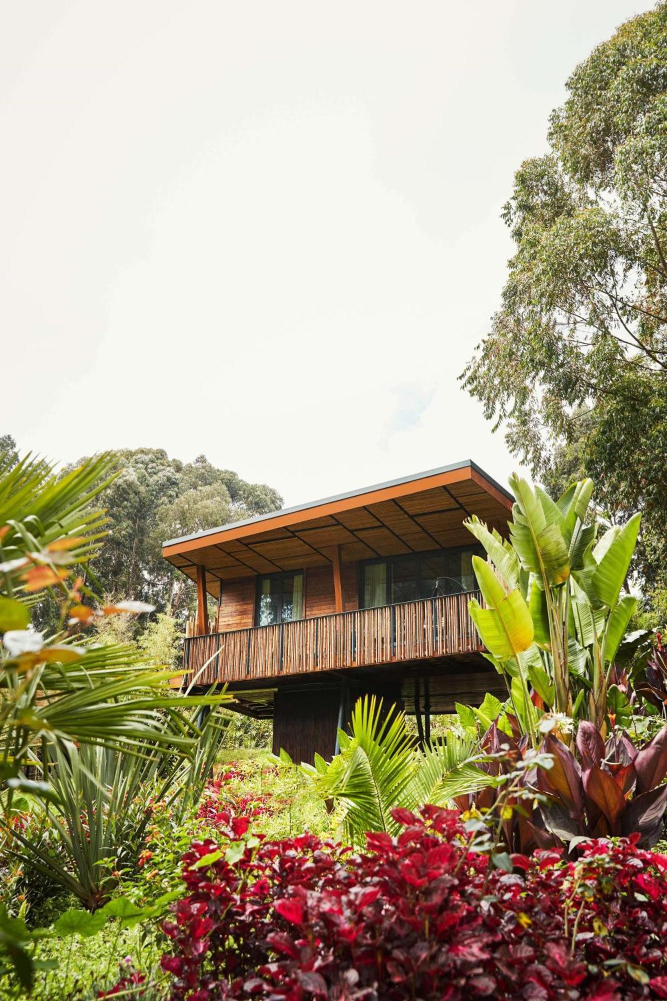 Hotel One&Only Gorilla'S Nest à Kinigi Extérieur photo