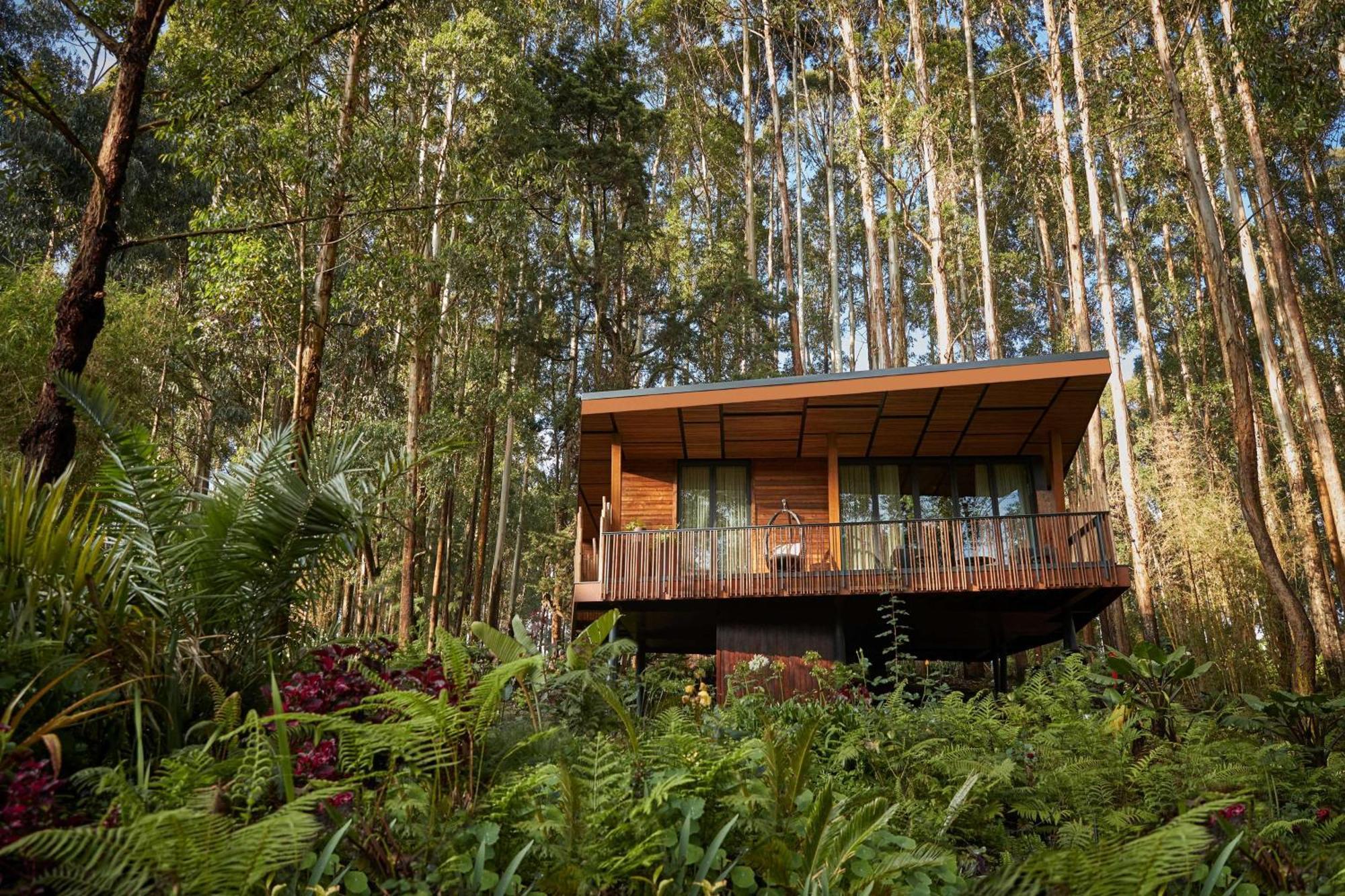 Hotel One&Only Gorilla'S Nest à Kinigi Extérieur photo