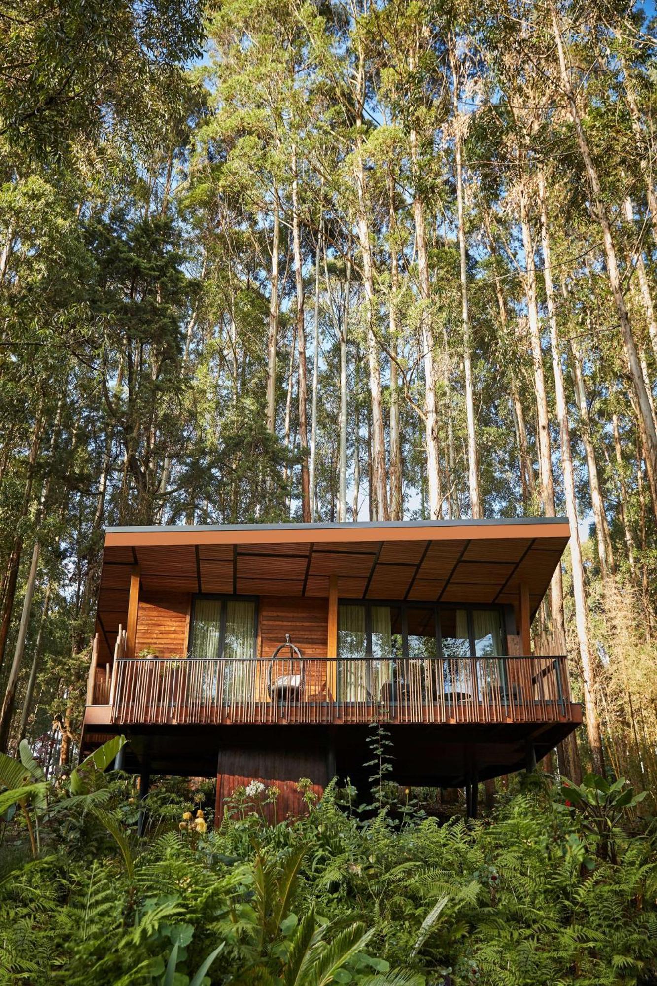 Hotel One&Only Gorilla'S Nest à Kinigi Extérieur photo