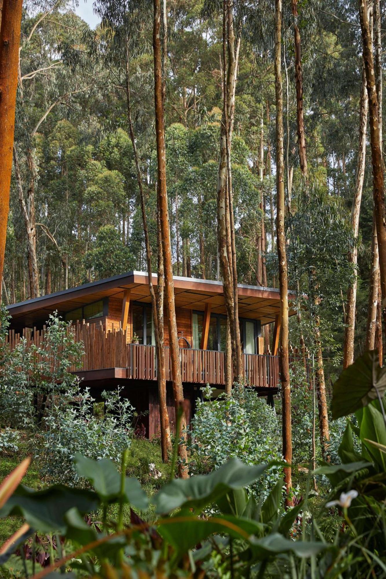 Hotel One&Only Gorilla'S Nest à Kinigi Extérieur photo